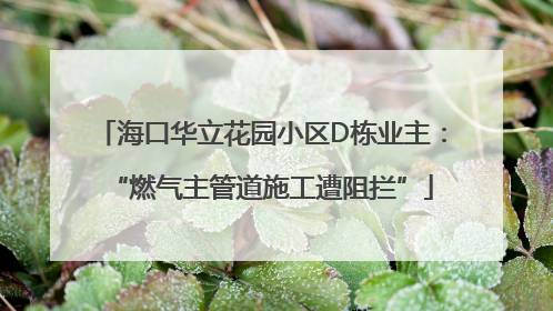 海口华立花园小区D栋业主：“燃气主管道施工遭阻拦”